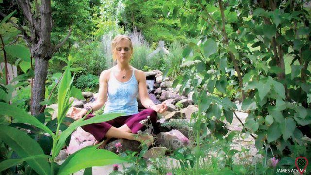 Verse cara a cara: comparando el yoga y las tradiciones budistas