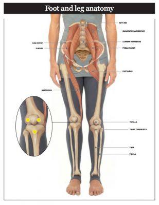 Anatomía esencial de pies y piernas que todo yogui debe saber