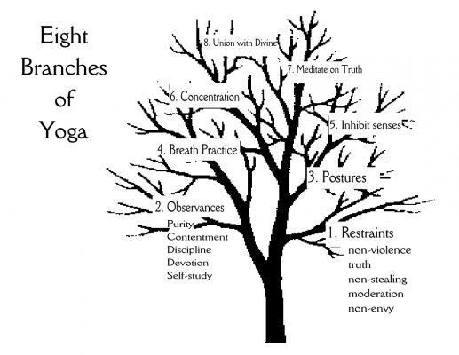 Las ramas del árbol del yoga