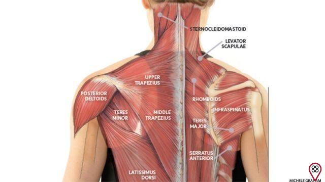 Anatomía del yoga: utilice el yoga para aliviar la tensión del cuello al encorvarse
